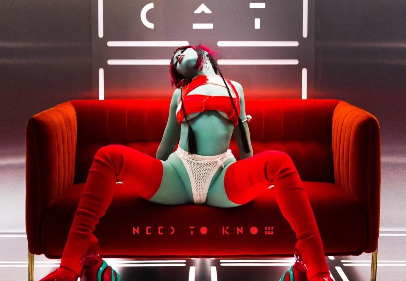 Doja Cat in a swimsuit on stage