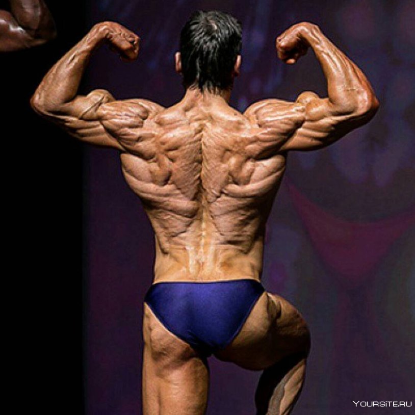 Bodybuilder Ross Dicterson