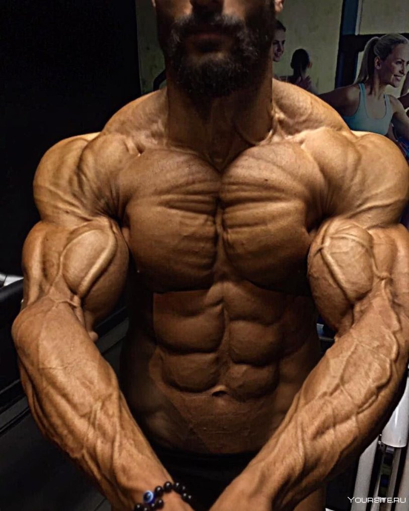 Bodybuilders in profile