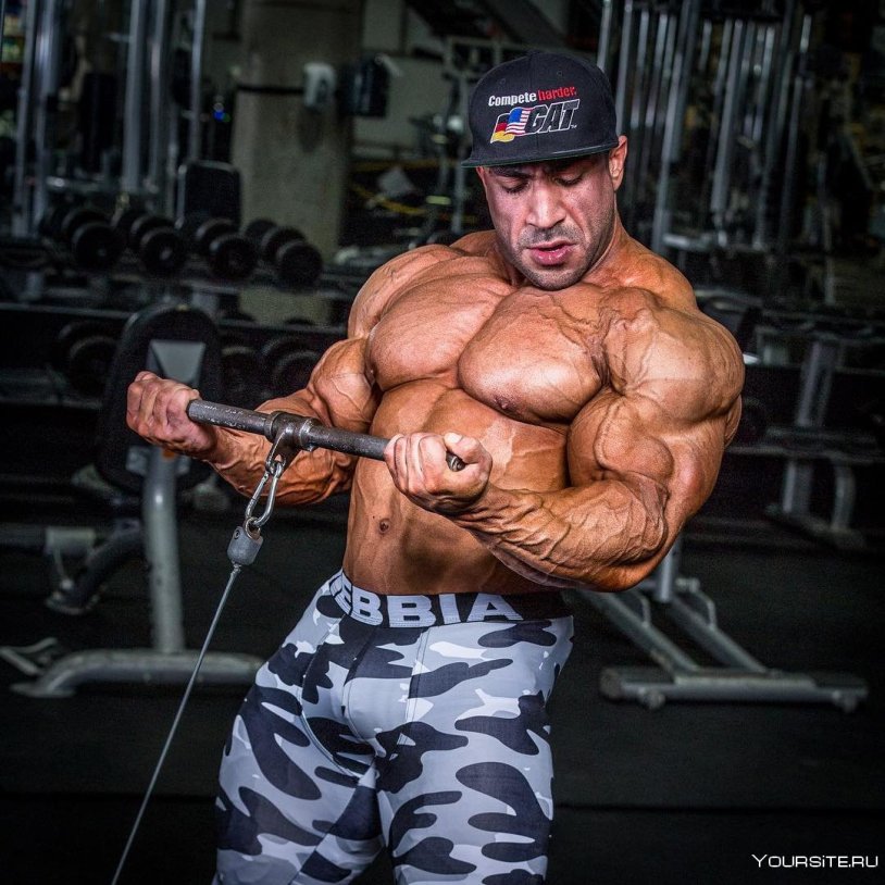 Helmut Berger Helmut Newton