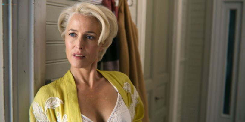 Gillian Anderson sexual education series