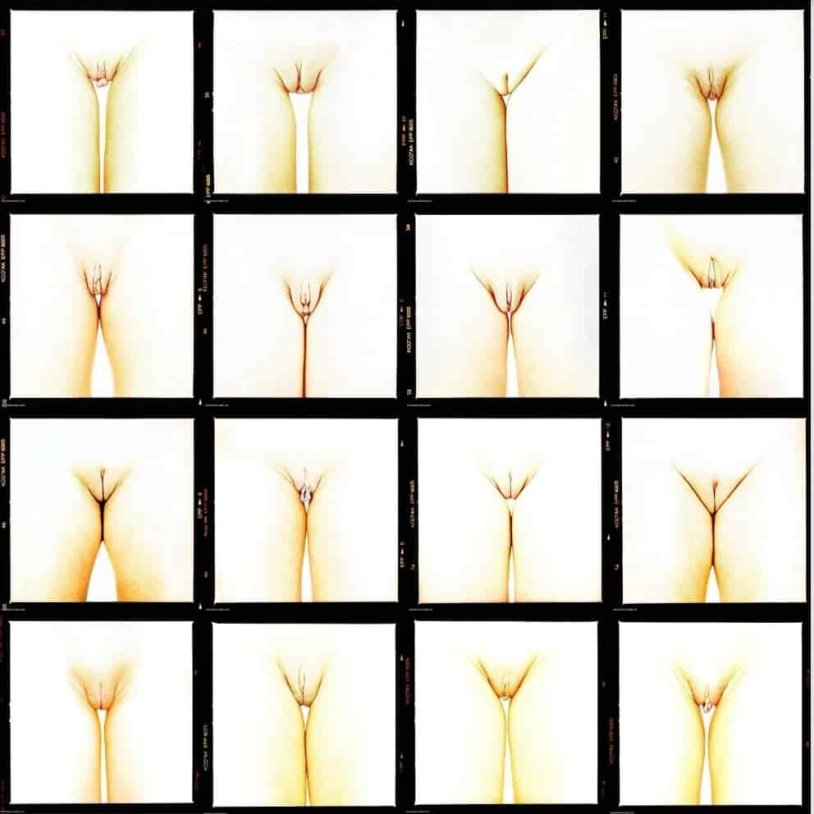 Naked women from different angles
