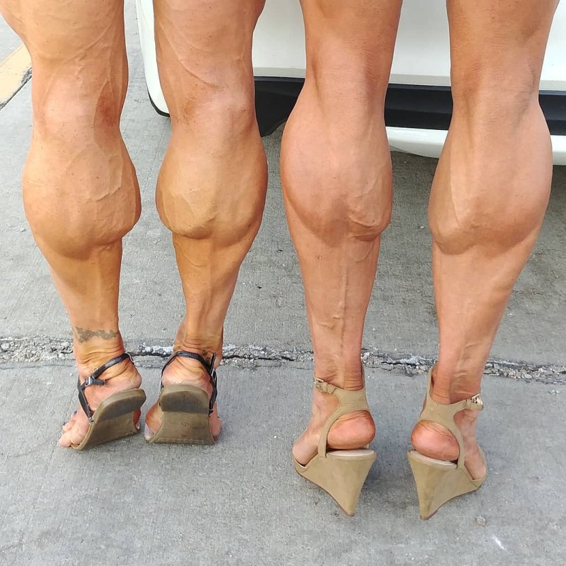 Jill diorio calves