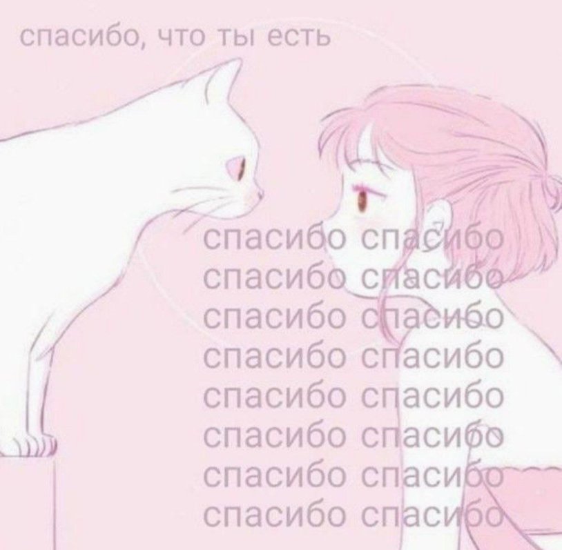 Cute Picchi with text for a guy