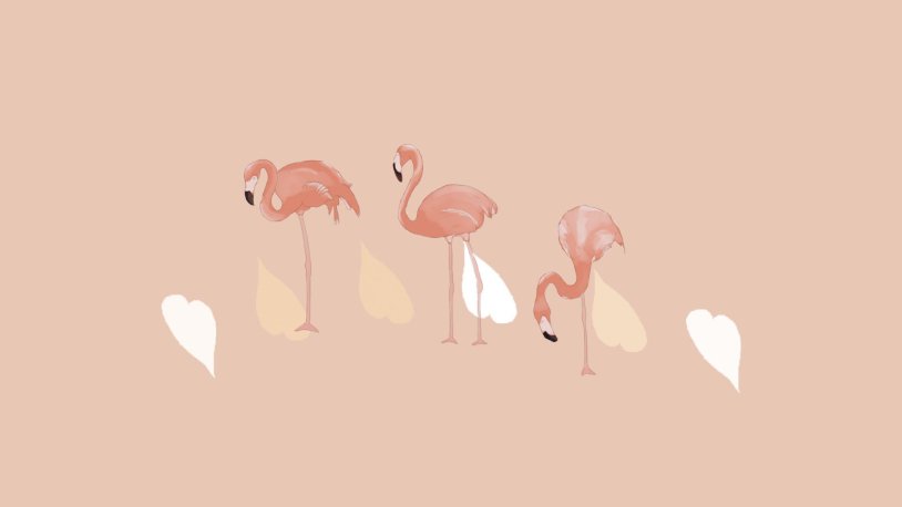 Flamingo desktop pictures