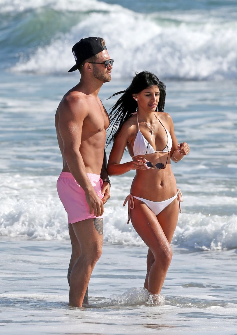 Croatian Institute model