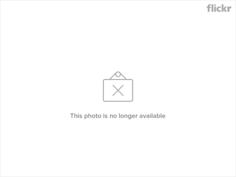 Brianna Daguanno {Brianna Daguanno}