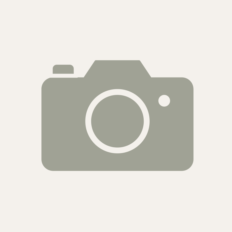 NN-DF383BZPE (inverter)