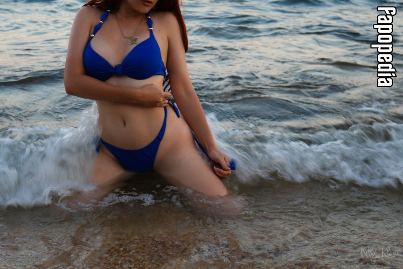 Samsung Sam Assistant R18