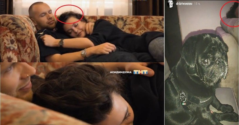 Pregnant Hilahia Baldwin