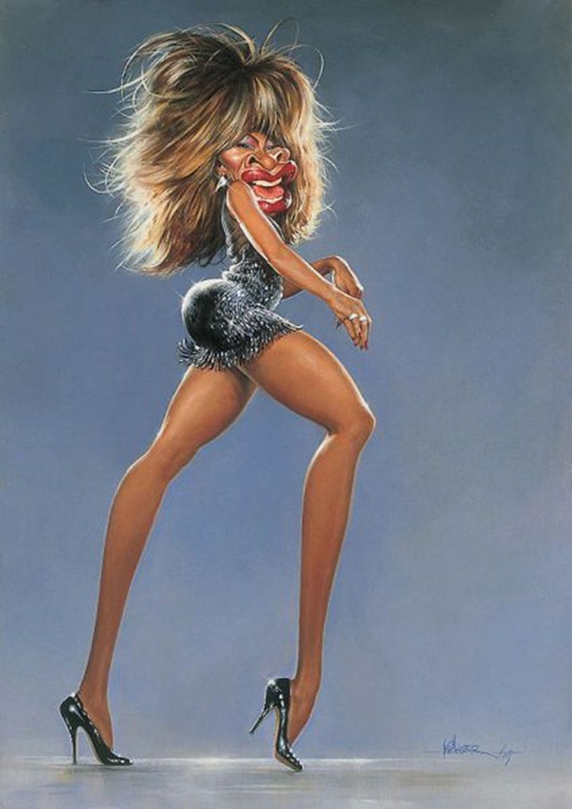 Tina Turner Sharzh