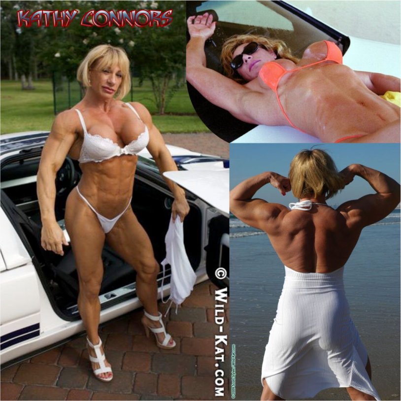 Destination Kat photo