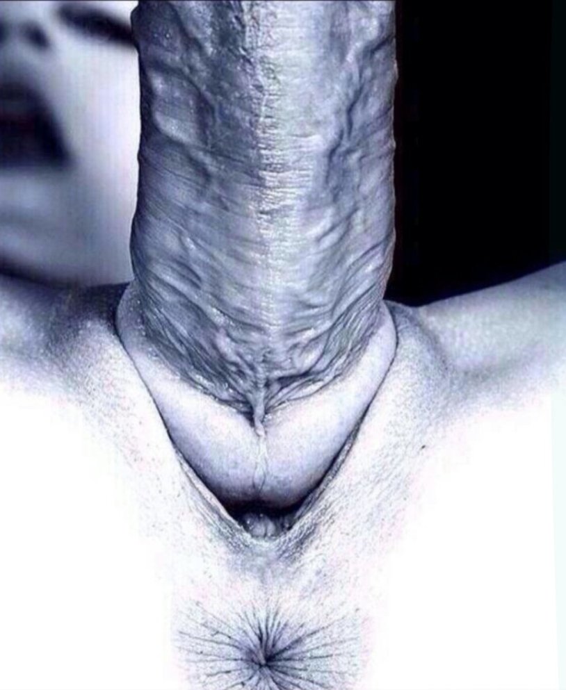 Beautiful girls kiss a dick