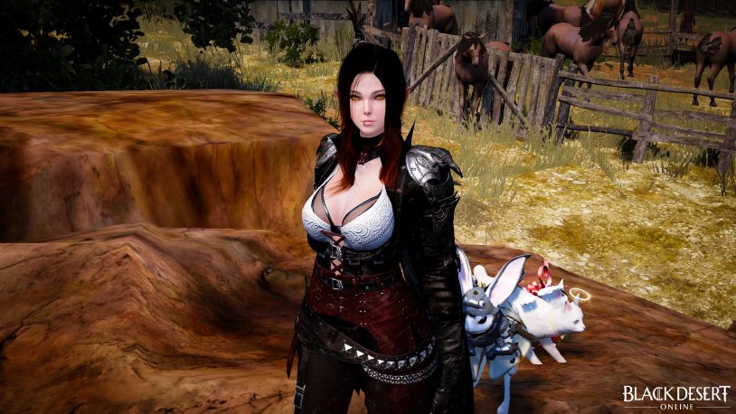 Black Desert Dark Knight Costumes