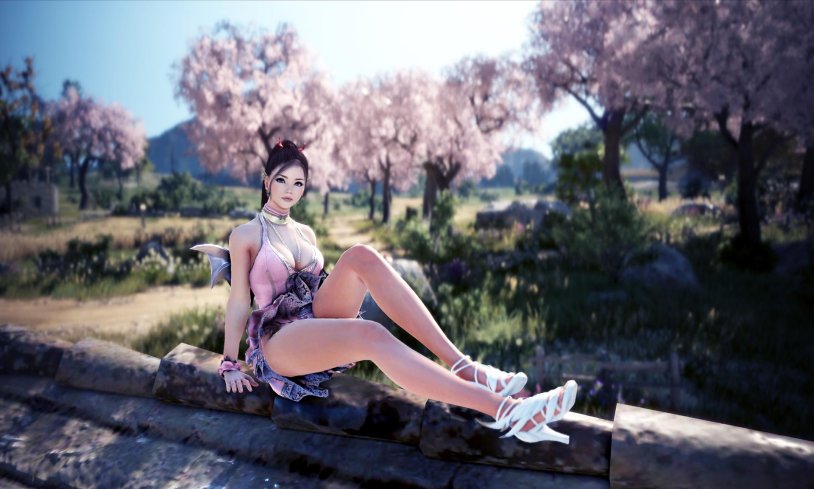 Black desert online elf