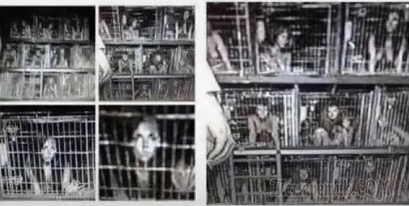 Model Dulce Silver Juels