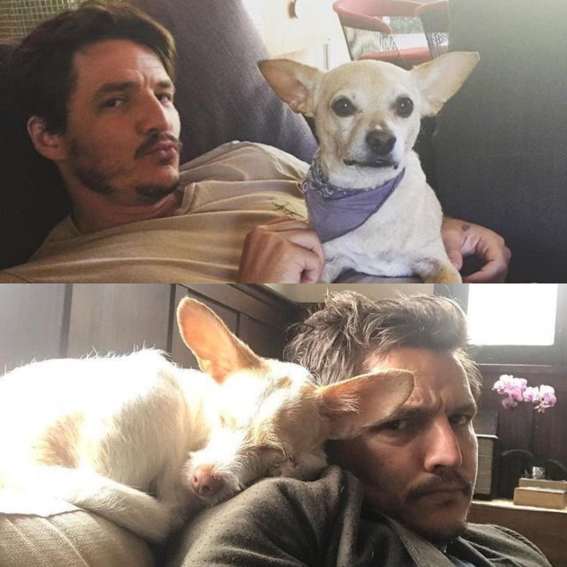 Pedro Pascal and baby iodine