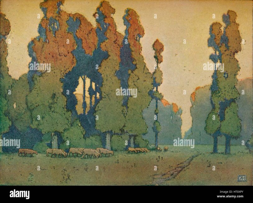 Targeted advertising of underwear