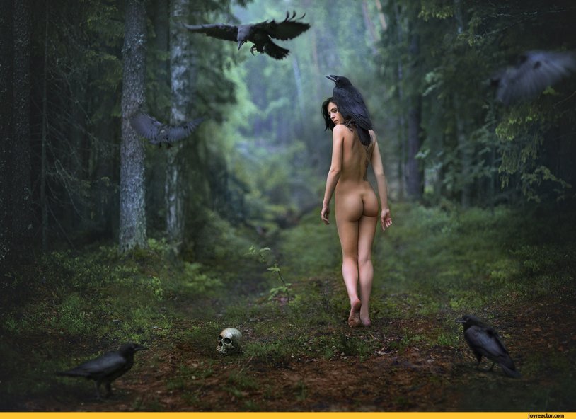 Erotic photo shoot in the forest