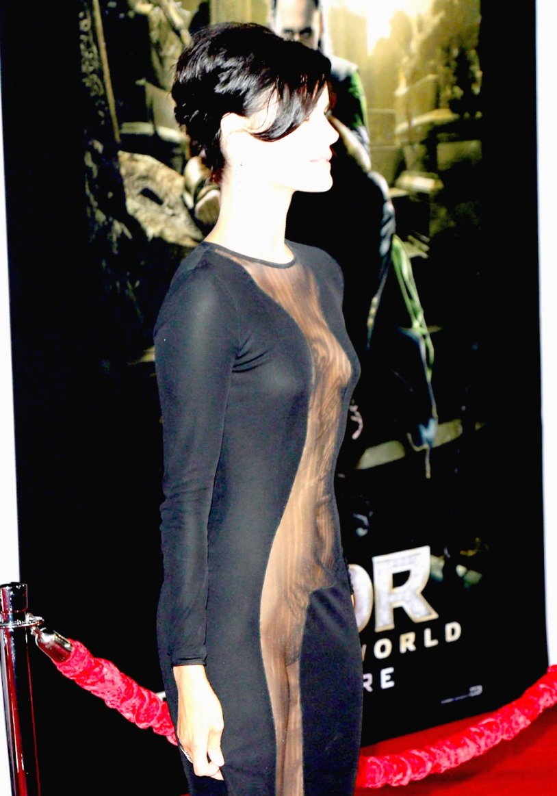 Jamie Alexander Blindspot nude