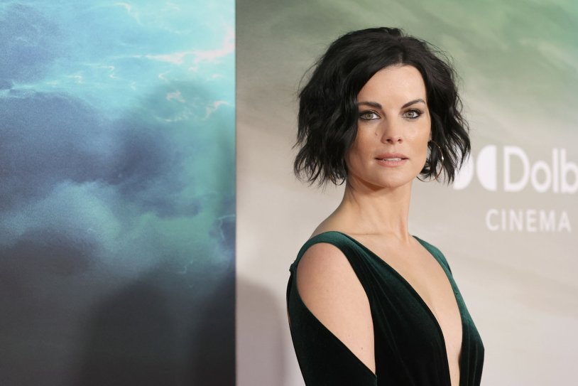 Jamie Alexander Blind Zone