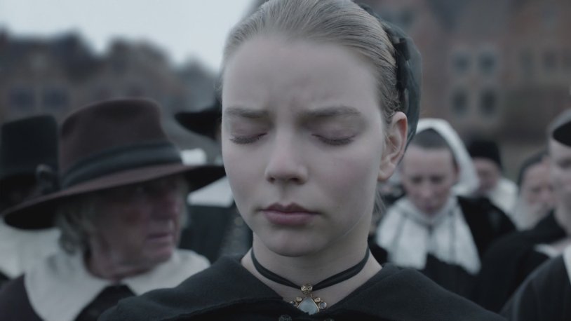 Miniaturist series sugar