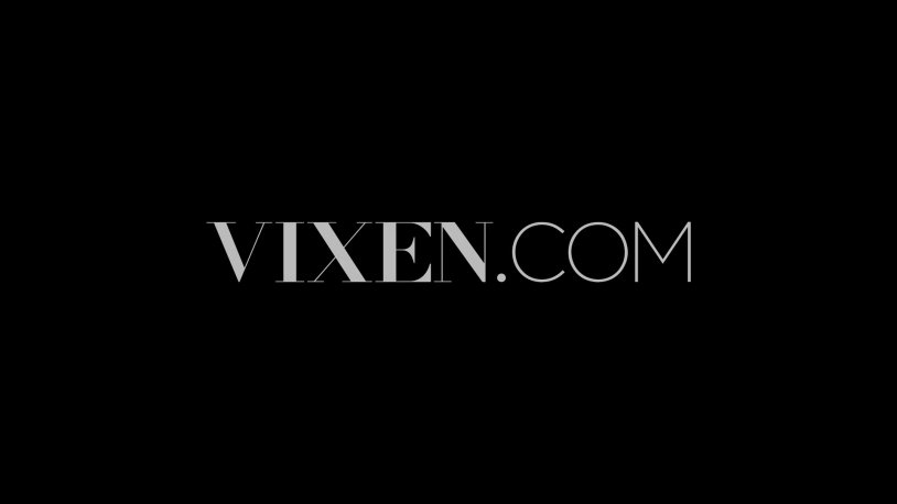 Vixen Media Group