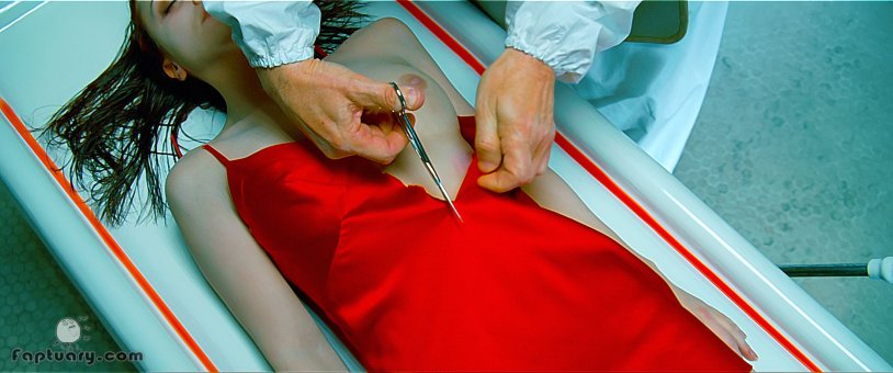 Christina Ricci pornography