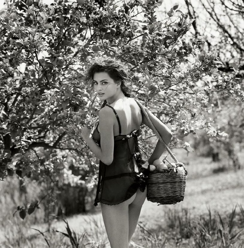 Chebykina Ekaterina Sergeevna