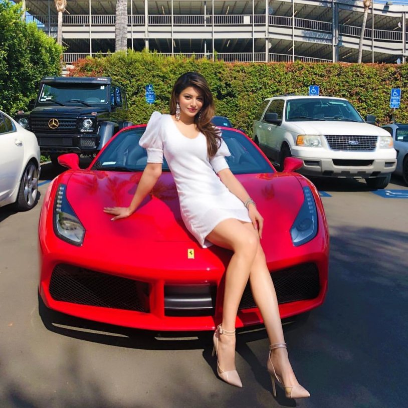 Ferrari secular lioness