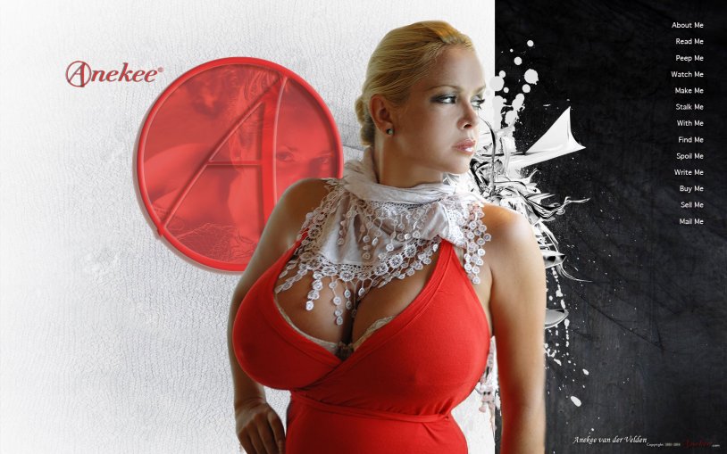 Aneca van der welden model