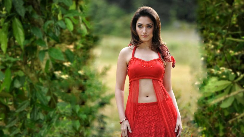Tamanna Bhatia breasts