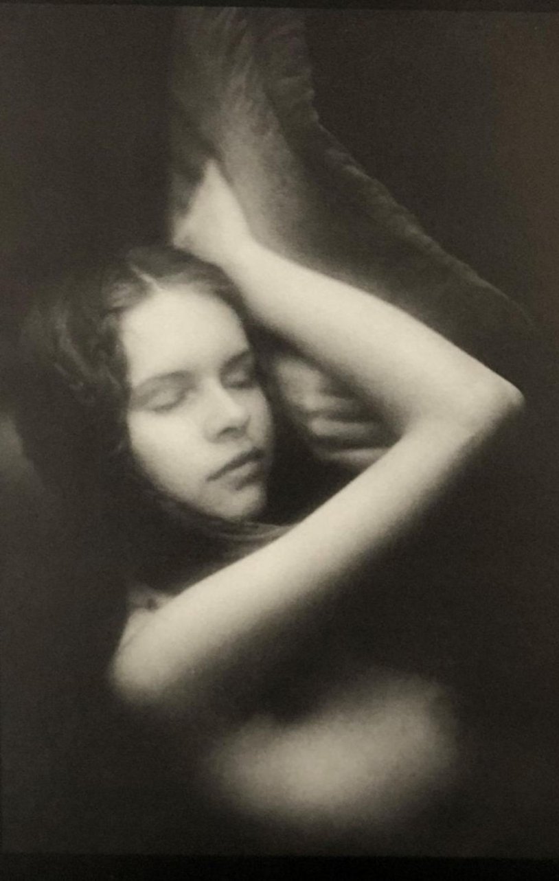 David Hamilton (David Hamilton) 14