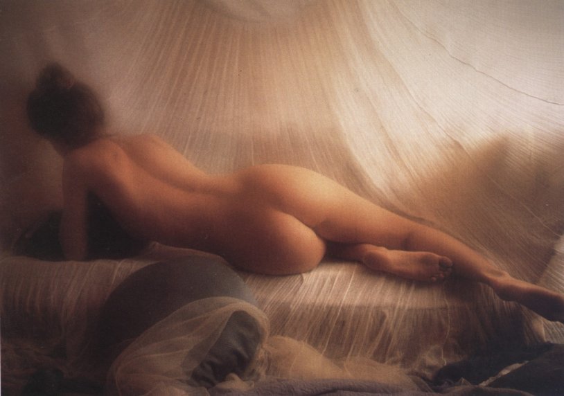 David Hamilton (David Hamilton)
