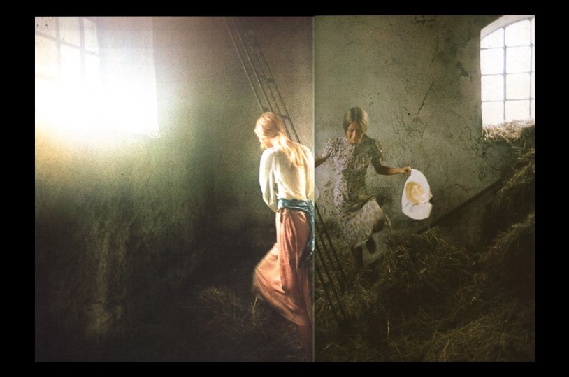 Hamilton photographer