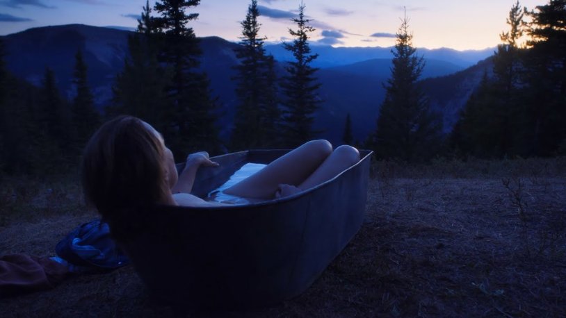 BPW 295x430 shock absorber