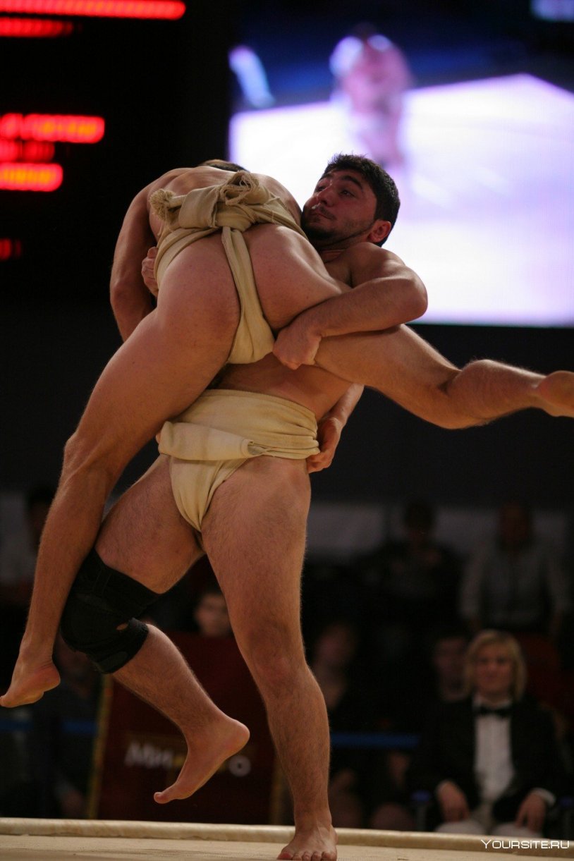 Board Sumo Caricature