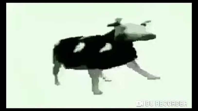 Kate Bekinsale Popka