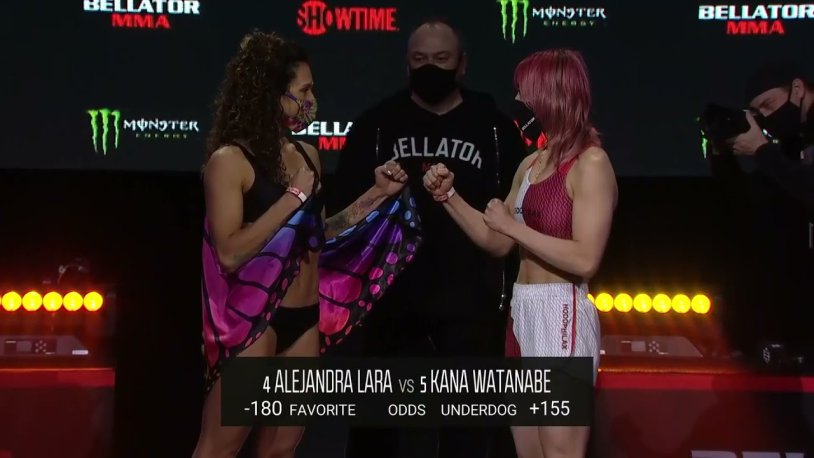 Fighter Bellator Lara