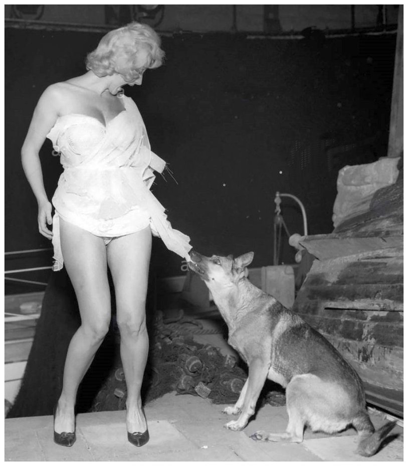 Liz Fraser stockings