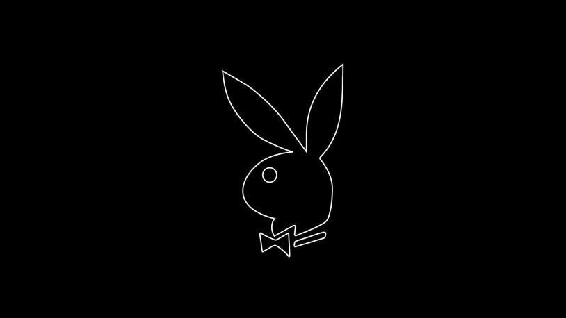 Rabbit playboy