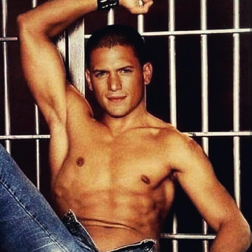 Vendworth Miller torso