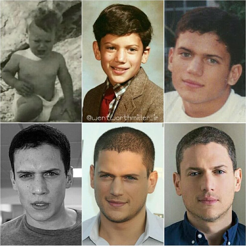 Vendworth Miller Nose Plastic