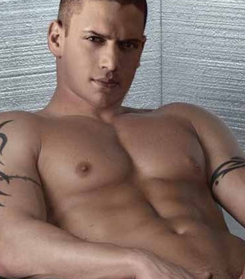 Vendworth Miller torso