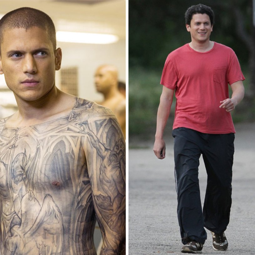 Wentort Miller torsos
