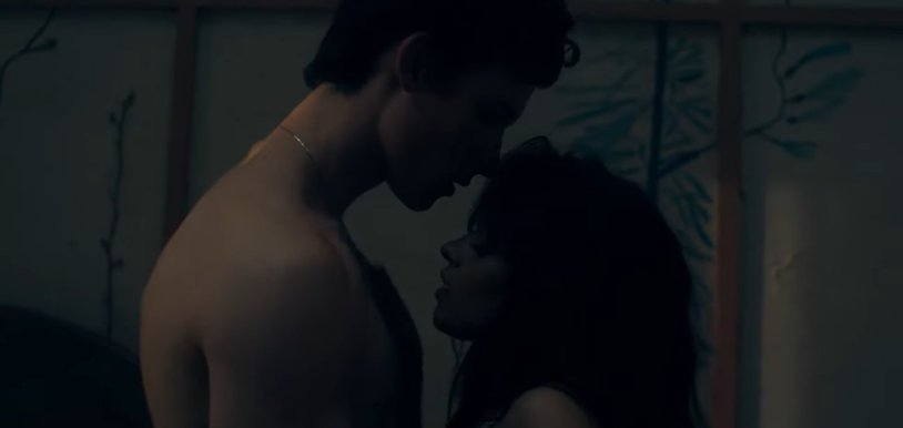 Senorita shawn mendes camila