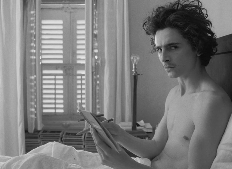 TIMOTHEE CHALAMET member