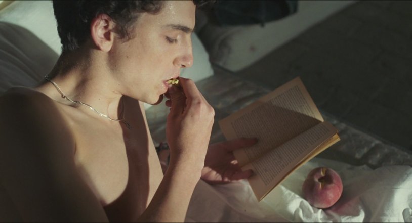 Timothy Shalame Call Me by Your Name