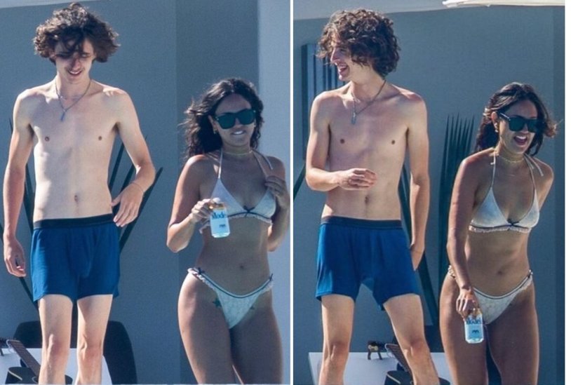 Timothy chalamet torso