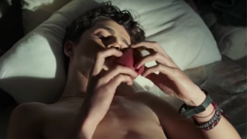 Timothy Shalame and Ace Gonzalez